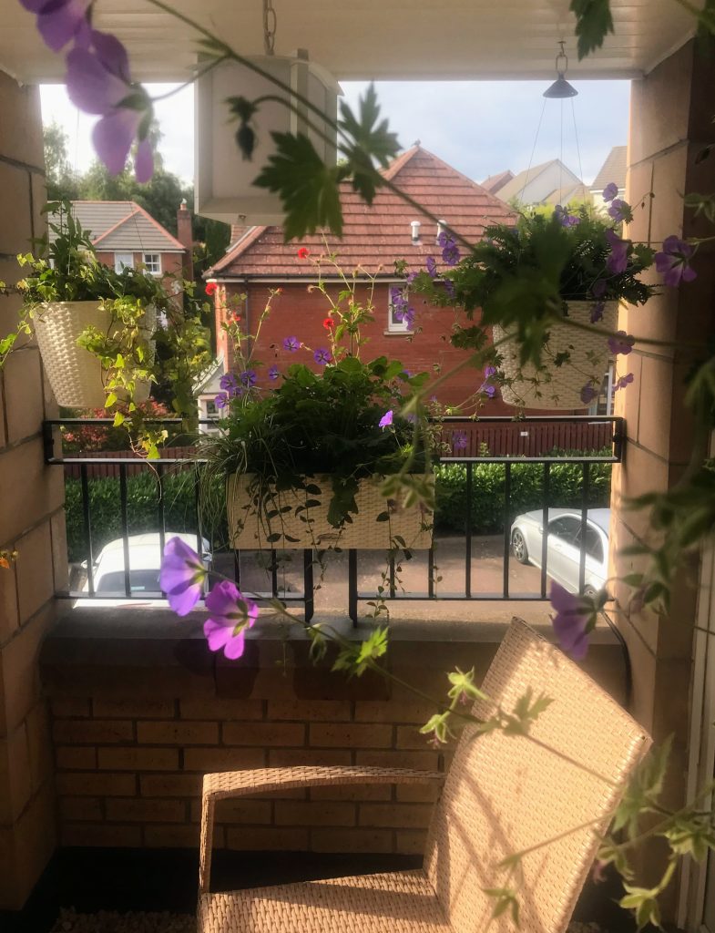 Balcony styled with hanging planters and vibrant flowers overlooking a residential area.